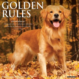Golden Rules ゴールデンレトリーバー　カレンダー
