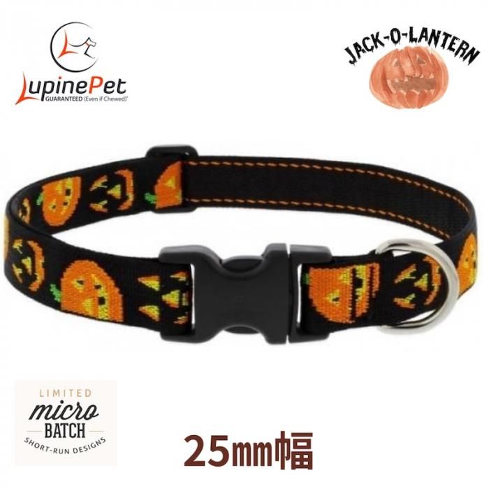 ハロウィン、ジャックオーランタン柄(オレンジ②)わんちゃん猫