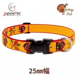 ȥåLUPINE25mm Turkey Trot