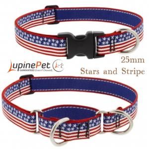 ȥ饤2021LUPINE 25mmStars & Stripes 