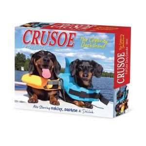 åեɡCrusoe the Celebrity Dachshund᤯ꥫ---Willow Creek 