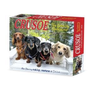 åեɡCrusoe the Celebrity Dachshund᤯ꥫ---Willow Creek 