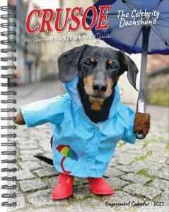 ᤯ꥹ塼ĢåեɡCrusoe the Celebrity Dachshund Engagement Calendar