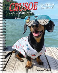 週めくりスケジュール帳　ダックスフンド【Crusoe the Celebrity Dachshund Engagement Calendar】