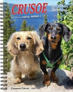 週めくりスケジュール帳 ダックスフンド【Crusoe the Celebrity Dachshund Engagement Calendar】