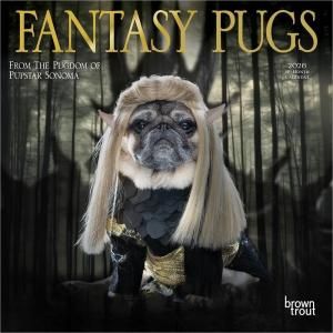 ѥFANTASY PUGS ڥߥˡۥ  --- Browntrout