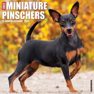 WillowCreekߥ˥奢ԥ󥷥㡼JUST Miniature Pinschers