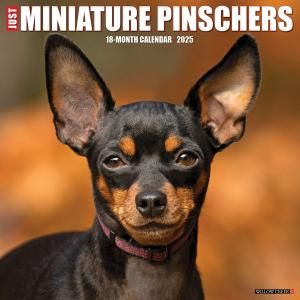 WillowCreekߥ˥奢ԥ󥷥㡼JUST Miniature Pinschers
