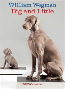 磻ޥʡ William Wegman Man's Best Friend