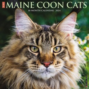 メインクーン カレンダー　JUST Maine Coon Cats