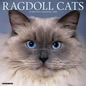 饰ɡ Willowcreek Ragdoll Cats