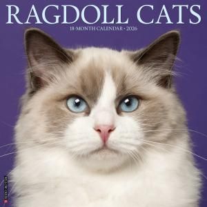 饰ɡ Willowcreek Ragdoll Cats