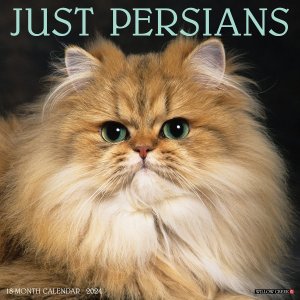 JUST Persians  Willowcreek
