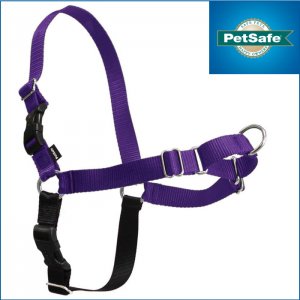 【パープル】イージーウォークハーネス---PetSafe Easy Walk Dog Harness Deep Purple/Black