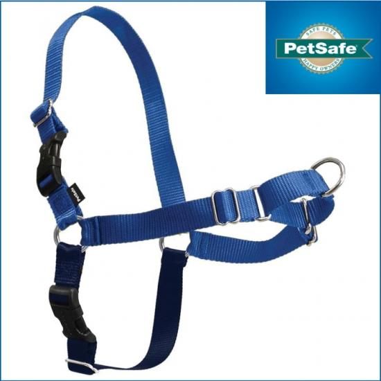 激安通販 ブルー】イージーウォークハーネス---PetSafe Dog Walk Easy 首輪・ハーネス・リード