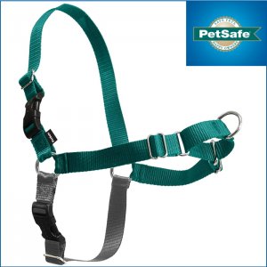 【ティールグリーン】イージーウォークハーネス---PetSafe Easy Walk Dog Harness Teal/Gray