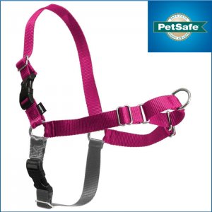 【ラズベリー】イージーウォークハーネス---PetSafe Easy Walk Dog Harness Raspberry/Gray