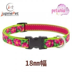 ڥ˥18mmLUPINE Petunias