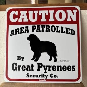 Caution ܡɡ졼ȥԥˡ