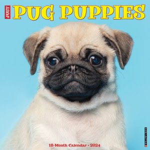 WillowCreek　パグパピーカレンダー　JUST PUG Puppies