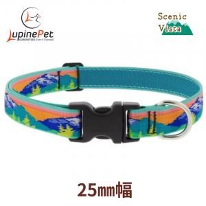 <img class='new_mark_img1' src='https://img.shop-pro.jp/img/new/icons15.gif' style='border:none;display:inline;margin:0px;padding:0px;width:auto;' />˥åӥ25mm LUPINE scenic vista