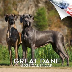 MEGA 졼ȥǡ great dane ᤯ꥫ