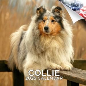 MEGA ꡼  COLLIES 