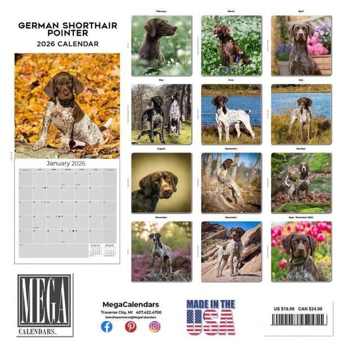 MEGA ジャーマンショートヘアードポインター - スマイルドッグ