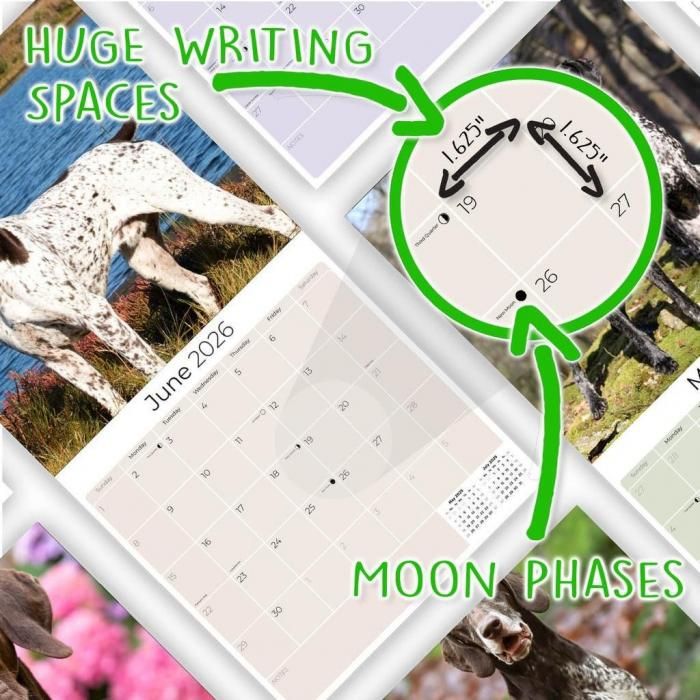 犬　ジャーマンショートヘアードポインター マルチカバー　ラグ　135x183 犬 ジャーマンショートヘアードポインター マルチカバー ラグ