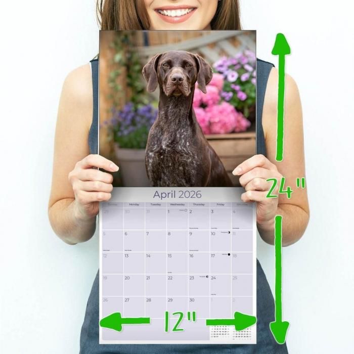 犬　ジャーマンショートヘアードポインター マルチカバー　ラグ　135x183 犬 ジャーマンショートヘアードポインター マルチカバー ラグ