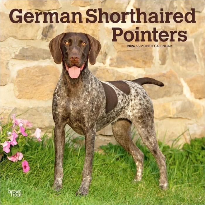 犬　ジャーマンショートヘアードポインター マルチカバー　ラグ　135x183 犬 ジャーマンショートヘアードポインター マルチカバー ラグ