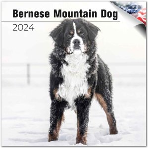 MEGA Сˡޥƥɥå Bernese Mountain Dog