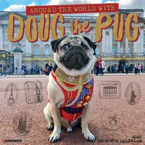 DOUG the PUG ѥ willow creek