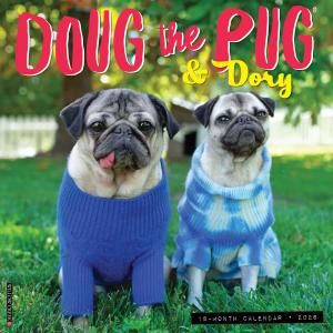 DOUG the PUG ѥ willow creek