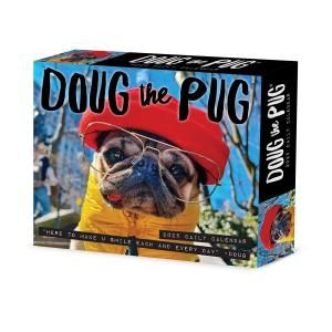 DOUG the PUG ѥ᤯ꥫWillow Creek
