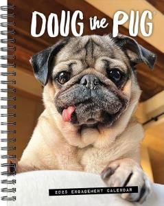 Doug the PUG ѥ꡼塼Ģ᤯ꥫwillow creek