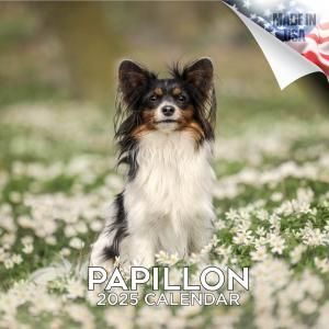 MEGAѥԥ Papillon