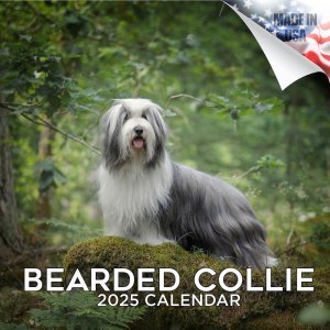 MEGAӥǥåɥ꡼  Bearded Collie