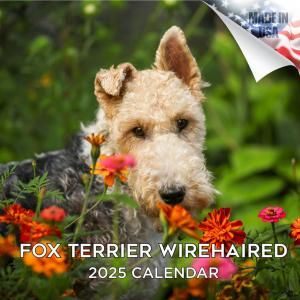 ワイヤーフォックステリア - スマイルドッグ☆アメリカ直輸入犬 ワイヤーフォックステリア - スマイルドッグ☆アメリカ直輸入犬