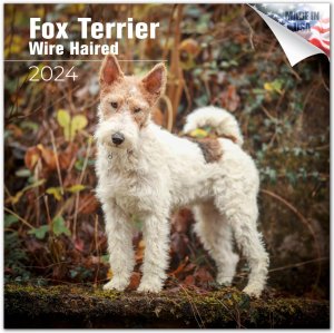 MEGA磻䡼եåƥꥢ Fox terrier