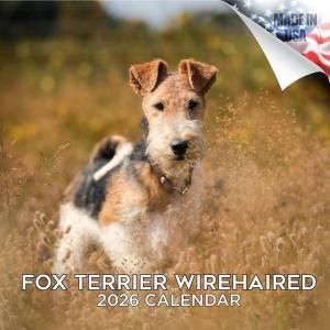 MEGA ワイヤーフォックステリア カレンダー Fox terrier