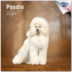 MEGA　プードル カレンダー Poodle