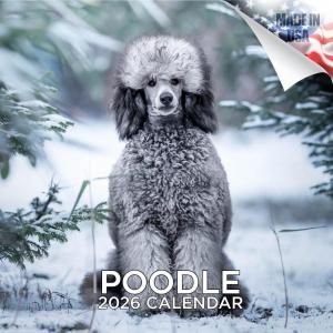 MEGAסɥ  Poodle