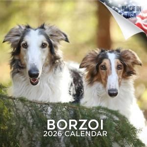 MEGAܥ륾 Borzoi