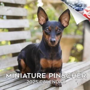 MEGAߥ˥奢ԥ󥷥㡼Miniature Pinscher