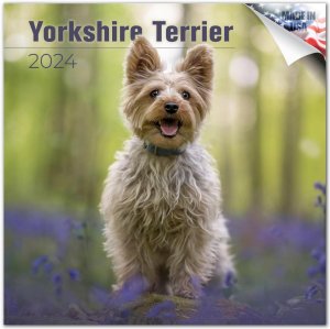 MEGA　ヨークシャーテリア カレンダー　Yorkshire Terrier