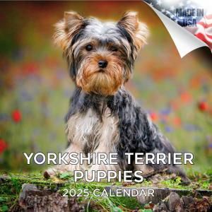 MEGA衼㡼ƥꥢ Yorkshire Terrier