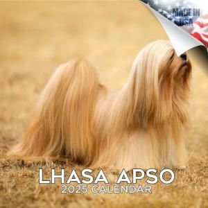 MEGA饵ץ   Lhasa Apso