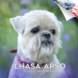MEGA饵ץ   Lhasa Apso