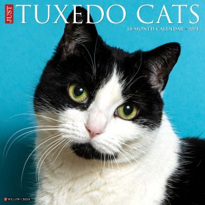 JUST Tuxedo cats ɥåȡ֤ǭǭ  Willowcreek